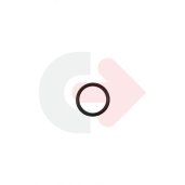 O-RING (WYP)