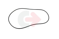 ORING OEM