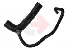 WĄŻ GÓRNY CHŁODNICY