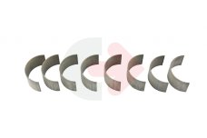 PANEWKI KORBOWODOWE PERKINS 1004.4/40T +0.25