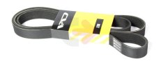 PASEK WIELOROWKOWY ALTERNATORA CVA