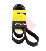 PASEK WIELOROWKOWY CVA